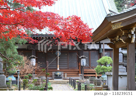 晩秋の長尾の里 晩秋の長尾の里 118239151