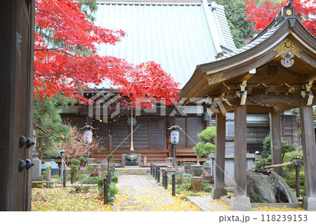 晩秋の長尾の里 晩秋の長尾の里 118239153