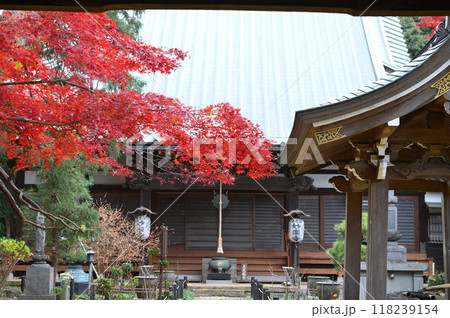 晩秋の長尾の里 晩秋の長尾の里 118239154