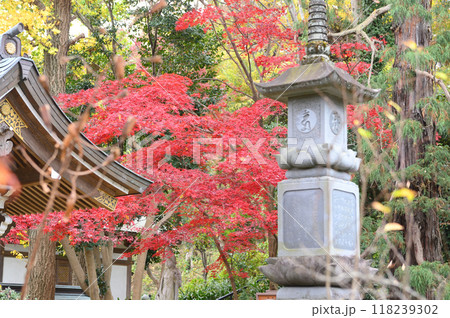 晩秋の長尾の里 晩秋の長尾の里 118239302