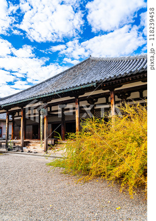 【奈良県】秋の雲が浮かぶ元興寺の本堂 118239458