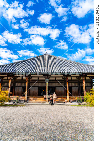 【奈良県】秋の雲が浮かぶ元興寺の本堂 118239461