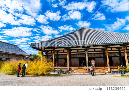 【奈良県】秋の雲が浮かぶ元興寺の本堂 118239462