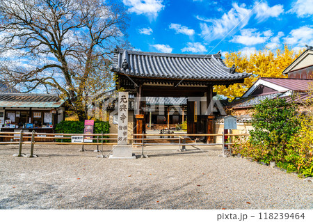 【奈良県】秋の雲が浮かぶ元興寺の東門 118239464