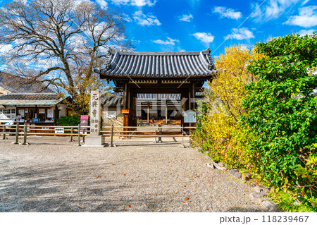【奈良県】秋の雲が浮かぶ元興寺の東門 【奈良県】秋の雲が浮かぶ元興寺の東門 118239467