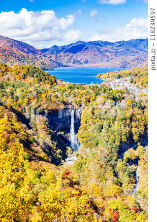 栃木県・奥日光　 明智平から望む秋の絶景 118239597