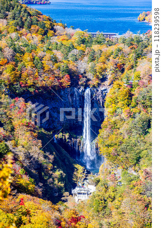 栃木県・奥日光　 明智平から望む秋の絶景 118239598