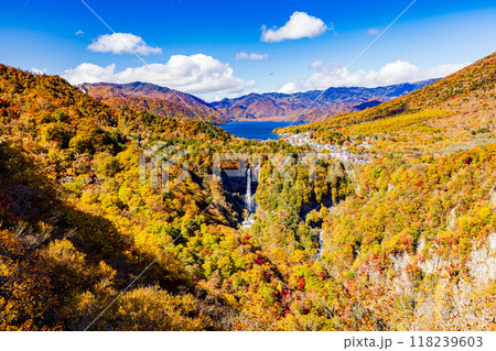 栃木県・奥日光 明智平から望む秋の絶景 栃木県・奥日光 明智平から望む秋の絶景 118239603