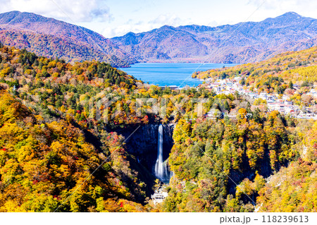 栃木県・奥日光 明智平から望む秋の絶景 栃木県・奥日光 明智平から望む秋の絶景 118239613