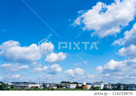 爽やかな夏空の住宅街 爽やかな夏空の住宅街 118239670