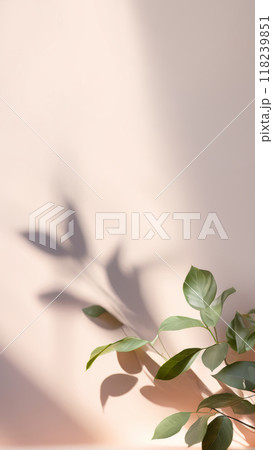 Minimalistic abstract gentle light beige wall background for product presentation or social media stories backdrop template. Green leaves aesthetic with beautiful light and intricate shadow. Vertical 118239851
