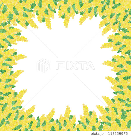 水彩で手描きした花：フレーム1：3月8日は「国際女性デー」「ミモザの日」女性を象徴する花 118239976