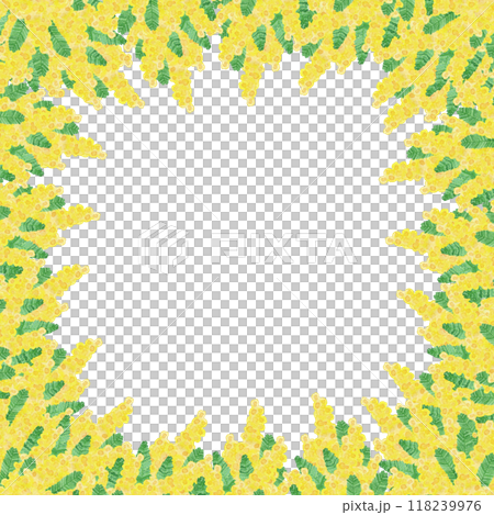 水彩で手描きした花：フレーム1：3月8日は「国際女性デー」「ミモザの日」女性を象徴する花 118239976