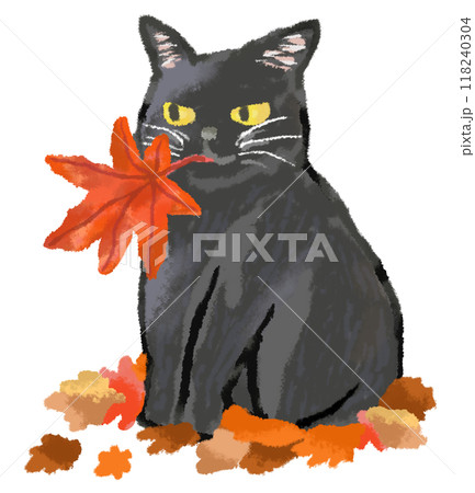 紅葉の葉をくわえた黒猫 118240304