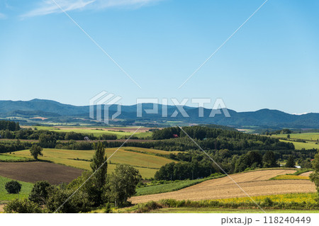 【美瑛町　三愛の丘からの秋の風景】 118240449