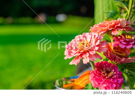 ピンク色の仏花 ピンク色の仏花 118240600