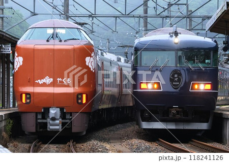 【JR西日本】273系「やくも」と117系「WEST EXPRESS 銀河」（伯備線：生山駅） 118241126