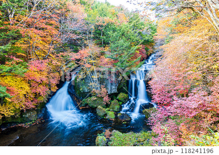 栃木県・奥日光 竜頭の滝 栃木県・奥日光 竜頭の滝 118241196