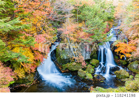 栃木県・奥日光　竜頭の滝 118241198