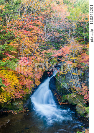 栃木県・奥日光　竜頭の滝 118241201