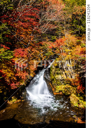 栃木県・奥日光 竜頭の滝 栃木県・奥日光 竜頭の滝 118241204
