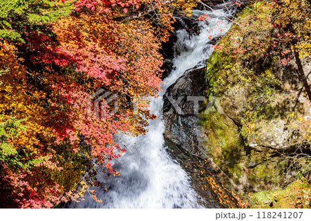 栃木県・奥日光 竜頭の滝 栃木県・奥日光 竜頭の滝 118241207