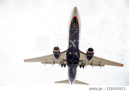 Passenger Plane with landing gear lands 118241611