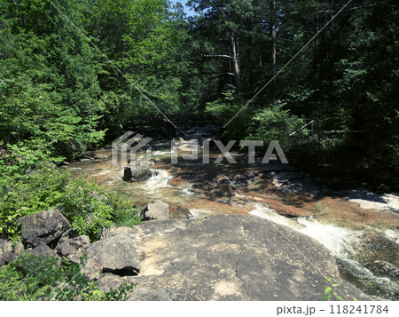 森の中を流れる川 118241784