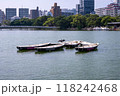 ボートから羽を広げて飛び立つ鳥 118242468