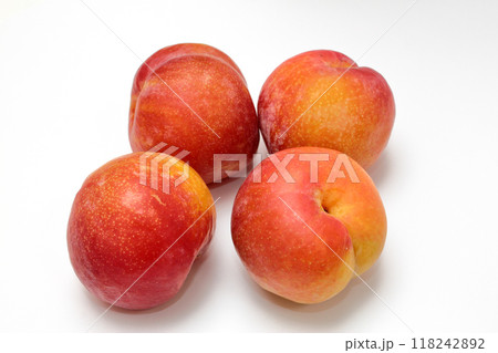 秋姫　スモモ　プラム 118242892