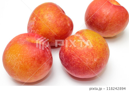秋姫　スモモ　プラム 118242894