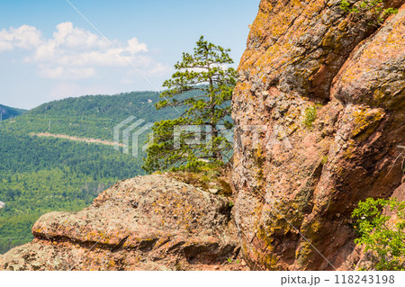 View of mountains and pine tree high on rock View of mountains and pine tree high on rock 118243198