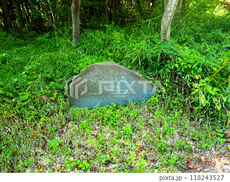 埼玉県・国営武蔵丘陵森林公園・平成の森植樹記念 118243527