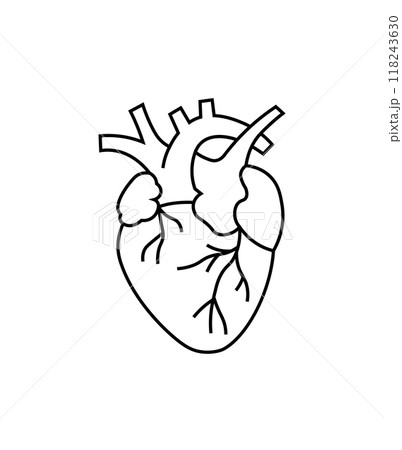 Minimalistic black and white line drawing of an anatomical heart. Ideal for medical, healthcare, or biology-related themes and illustrations. Minimalistic black and white line drawing of an anatomical heart. Ideal for medical, healthcare, or biology-related themes and illustrations. 118243630