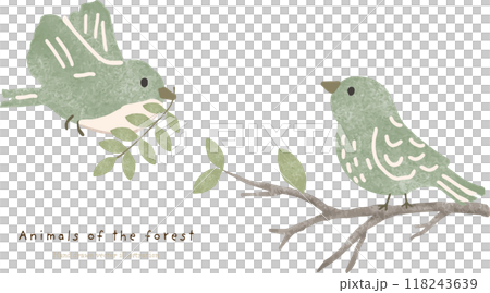 Small birds perched on tree branches (small birds in the forest) 118243639
