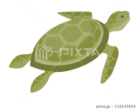 Marine turtle swimming gracefully in the ocean, highlighting the beauty of marine life. The turtle is green and surrounded by blue ocean waters, symbolizing environmental conservation. Marine turtle swimming gracefully in the ocean, highlighting the beauty of marine life. The turtle is green and surrounded by blue ocean waters, symbolizing environmental conservation. 118243654