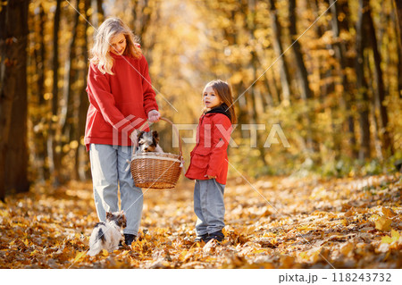 Young woman with little girl walking in autumn forest. Blonde woman play with her daughter and yorkshire terrier dogs. Mother and daughter wearing jeans and red jackets. Young woman with little girl walking in autumn forest. Blonde woman play with her daughter and yorkshire terrier dogs. Mother and daughter wearing jeans and red jackets. 118243732