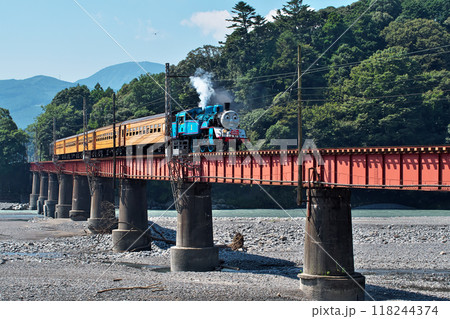 鉄橋を渡る蒸気機関車「機関車トーマス号」 118244374
