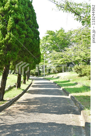 桑名　貝塚公園 118244962