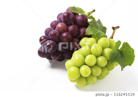白バックのシャインマスカットと巨峰 白バックのシャインマスカットと巨峰 118245319