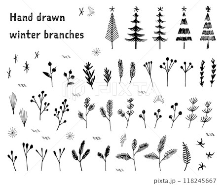 手描きの冬の枝のイラストセット 118245667