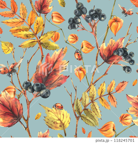 Autumn berries physalis, chokeberry, rowan leaves, maple, birch, tree branches and ladybugs. Watercolor illustrations. Seamless pattern on a blue background Autumn berries physalis, chokeberry, rowan leaves, maple, birch, tree branches and ladybugs. Watercolor illustrations. Seamless pattern on a blue background 118245701