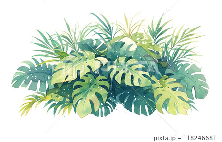 A lush green exotic plant with large leaves and a white background A lush green exotic plant with large leaves and a white background 118246681