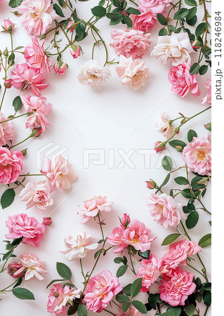 A close up of pink flowers with a white background. The flowers are arranged in a circle, with some overlapping and others standing alone. Scene is one of beauty and serenity A close up of pink flowers with a white background. The flowers are arranged in a circle, with some overlapping and others standing alone. Scene is one of beauty and serenity 118246984
