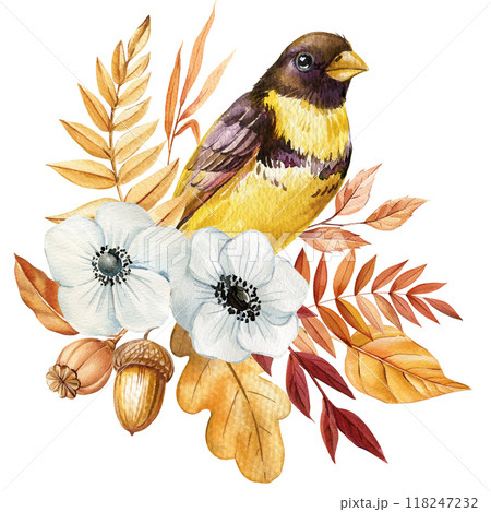 Vintage Bird, flower and leaves, Autumn floral clipart, fall watercolor illustration isolated on white background 118247232