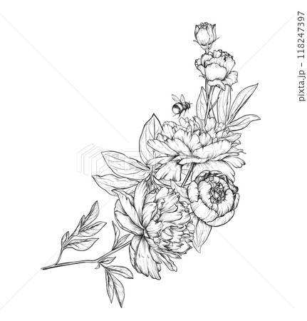 Beautiful hand drawn vector composition with black and white blooming peonies and other garden flowers, bumblebee 118247397