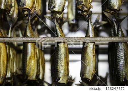 Industrial smoking of fish. Mackerel in a smoking oven. Industrial smoking of fish. Mackerel in a smoking oven. 118247572