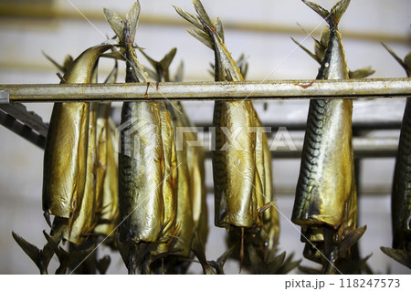 Smoked mackerel in the industrial production of a fish factory. 118247573