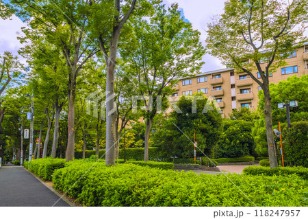 日本の東京都市景観　広尾駅前。港区西麻布側から緑に包まれた渋谷区広尾の広尾ガーデンヒルズなどを望む 118247957