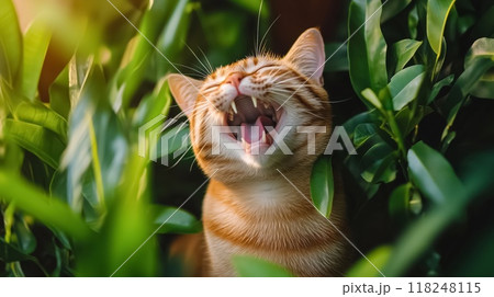 Ginger cat yawning in green leaves 118248115